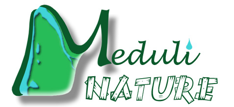 logo meduli nature